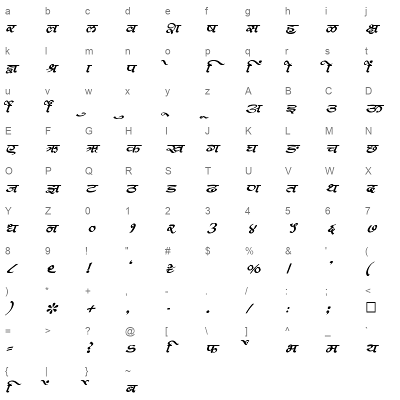 SHREE DEV 0992 Regular Character Map